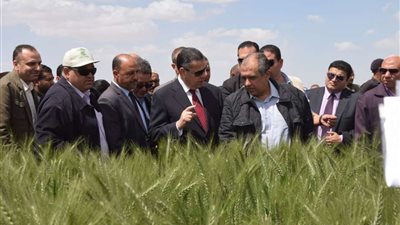 محافظ بني سويف يؤكد على أهمية مراكز البحوث الزراعية في مجال التدريب العملي