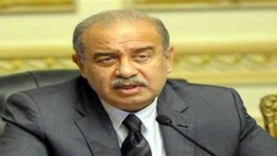 مساعد رئيس الجمهورية يسلم رسلة من السيسي لرئيس نيجيريا