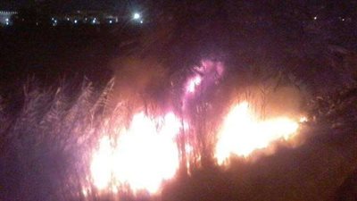 إندلاع حريق بكميات كبيرة من” البوص ” بكفر الجزار ببنها