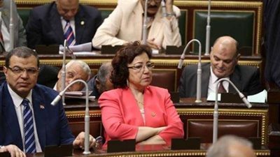 برلمانية تشيد بدور ”الهجرة” فى لم شمل المصريين فى الخارج