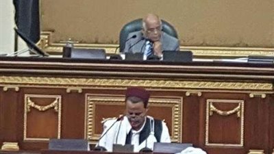 برلماني: الحصول على الجنسية أبرز الطلبات في الدور المقبل