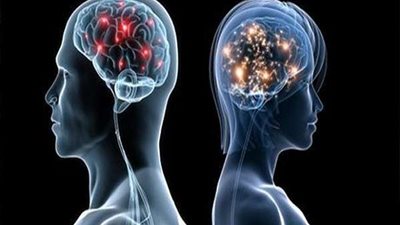 أيهما أقوى ذاكرة المرأة أم الرجل؟.. الإجابة قد تصدمك