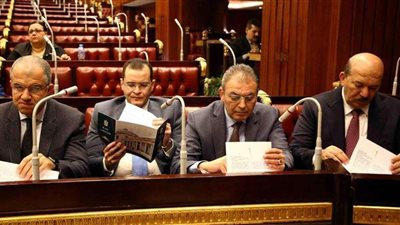 السويدي: دستور 2014 كان لابد أن يخرج بهذه الصورة سابقًا