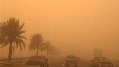 هاني الناظر يقدم نصائح لمرضى الحساسية لمواجهة طقس الجمعة والسبت