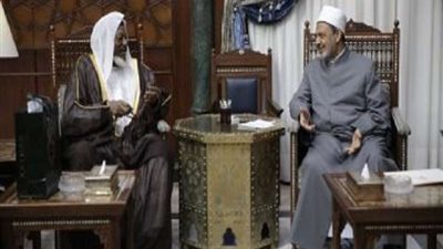 مفتى نيجيريا: منهج الأزهرهو الذى حافظ على التعايش والتماسك فى أفريقيا