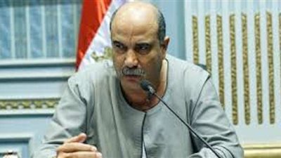 برلماني: الزراعات التعاقدية حل لعودة القطن لسابق عهده