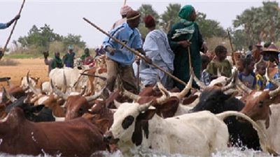 مالى تعتقل 5 مشتبه بهم على خلفية الحادث الإرهابى لقبائل الفولانى