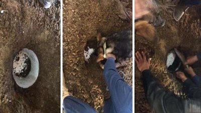 الداخلية تكشف تفاصيل ضبط عصابة ترويج المخدرات والآثار بالفيوم