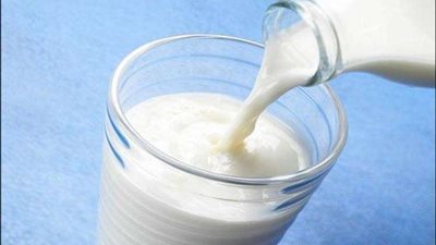 ضبط 6 أطنان ألبان غير صالحة بحوزة تاجرين في بني سويف