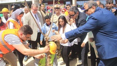 بالصور.. فاعليات زراعة 100 شجرة بالمتحف المصري الكبير