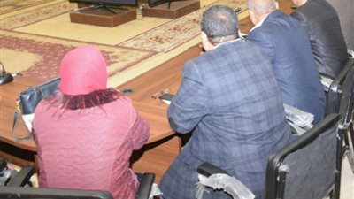 بني سويف تستعد للاستفتاء على التعديلات الدستورية بـ 9 لجان عامة