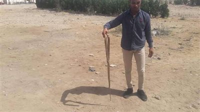 ظهور ثعابين داخل مدرسة خاصة بالسويس.. و 
