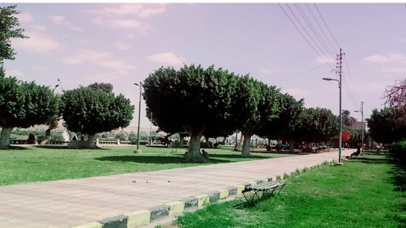 بلدنا اليوم