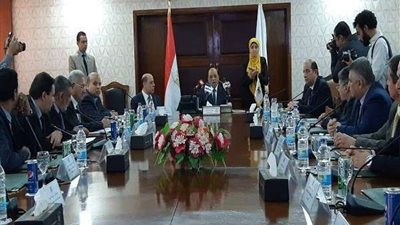 التنمية المحلية و