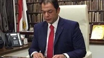 رئيس الجبهة الوطنية العربية: لقاء السيسي وترامب أكد على زعامة وريادة مصر