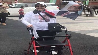 السيسي يستقبل سيدة مصرية طلبت مقابلته.. والجالية في أمريكا: الرئيس الإنسان