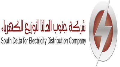 جنوب الدلتا للكهرباء تعقد مؤتمرا لدعم التعديلات  الدستورية