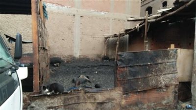 أبرزها مزارع الخنازير.. نرصد معاناة أهالي شبرا الخيمة والخصوص