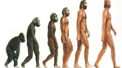 نوع جديد من البشر في طريقه إلى الحياة