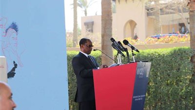 موسى أومارو: مصر تلعب دورًا مهمًا في العالم العربي وأفريقيا والعالم