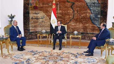 السيسي يؤكد دعم مصر لمكافحة الجماعات المتطرفة بليبيا