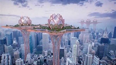 بالفيديو.. سيدة تبيع مدينة مقابل 8 ملايين دولار