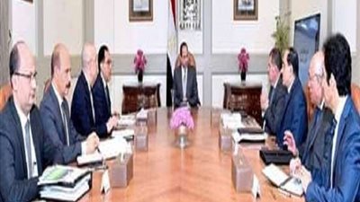 السيسي يشدد على قيمة قطاع الأعمال العام وحسن إدارة الأصول المملوكة للدولة