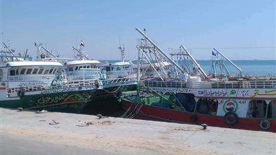 هيئة الثروة السمكية توقف الصيد بخليج السويس والبحر الأحمر