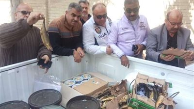 ضبط ربع طن رنجة غير صالحة للاستخدام الآدمي بحى الزهور ببورسعيد