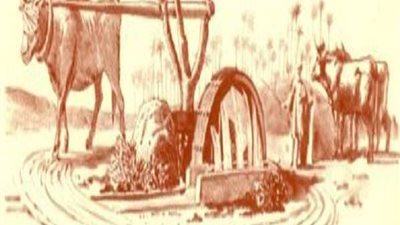 لكل مثل حكاية|.. قصة مثل 