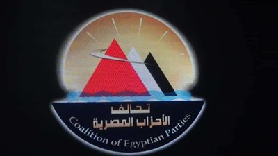 مرشح الرئاسة السابق يطالب بالتصدي للمتربصين بمصر