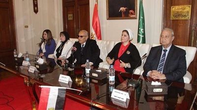 بهاء أبو شقة: التعديلات الدستورية منصفة في صالح الوطن والمواطن