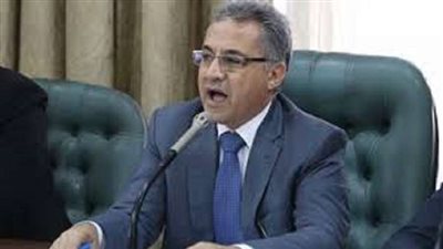 برلماني: دعمنا التعديلات الدستورية في الشارع من خلال نوابنا بالمحافظات