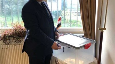 سفير مصر في سويسرا يدلي بصوته بالاستفتاء على تعديلات الدستور