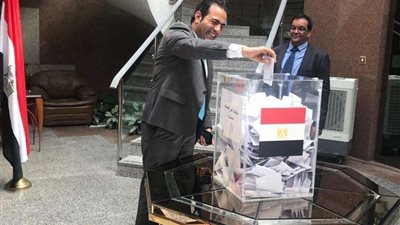 وسط احتفالية مصرية.. إقبال كبير على صناديق الاقتراع بدبي
