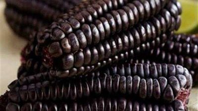 فوائد مذهلة لا تعرفها عن تناول 