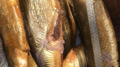 ضبط 2.5 طن سردين وفسيخ غير صالحة بأبو النمرس