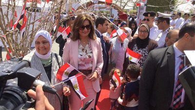 نبيلة مكرم: الاستفتاء على التعديلات الدستورية 