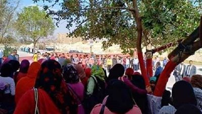 شاهد.. إقبال كبير من مواطني ١٥ مايو على لجان الاستفتاء