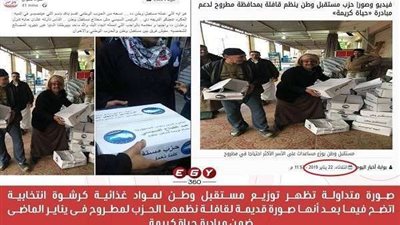 صور كاذبة عن مستقبل وطن تفضح مخطط الإخوان لإفشال عرس التعديلات الدستورية