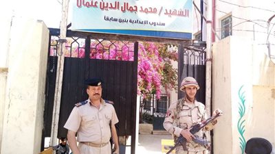 المستشار رامي إبراهيم: المشاركة في التعديلات الدستورية واجب وطني