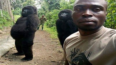 شاهد.. سيلفي 