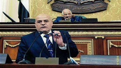 فايز بركات: سيدات مصر قدموا صورة مشرفة في المشاركة بالاستفتاء