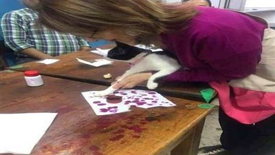 قطة الحبر الفسفوري أخر تقاليع المصريين فى الاستفتاء