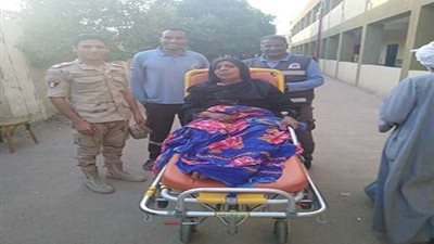 سيدة مسنة تتحدى مرضها وتشارك فى الاستفتاء على الدستور