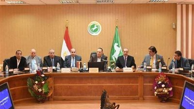 محافظ الشرقية يشكر الأجهزة التنفيذية لدورهم في انتظام سير عملية الاستفتاء