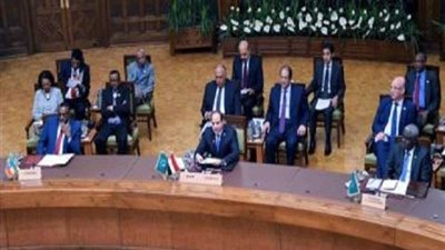 السيسي: نعمل على وضع تصور مشترك لتحقيق الاستقرار في السودان