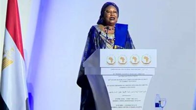 الأفريقية لحقوق الإنسان: الصحة قدمت العلاج المجانى لـ 11 ألف أجنبي