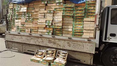 بالفيديو.. حملات تموينية لضبط الغش التجاري بمختلف المحافظات