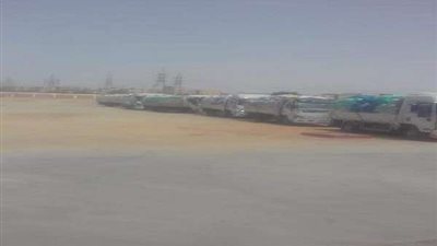 زراعة الشرقية: توريد 15 مليون  و167 ألف طن قمح